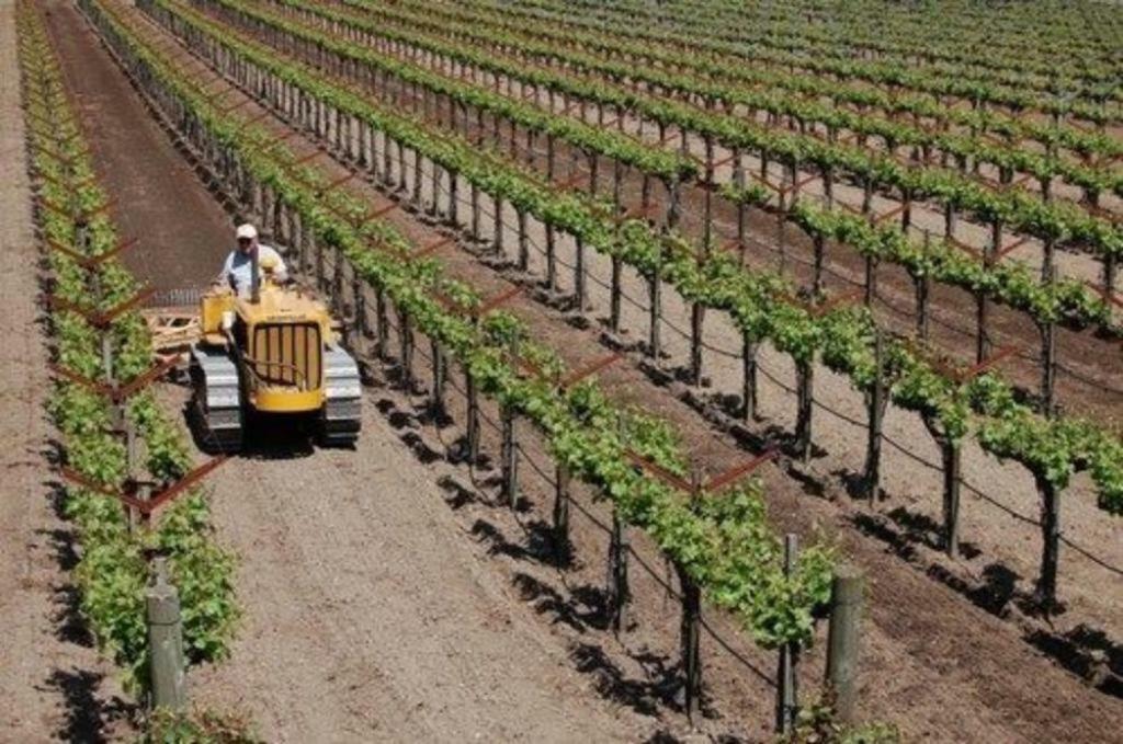 Inn At Salvestrin St. Helena Ngoại thất bức ảnh